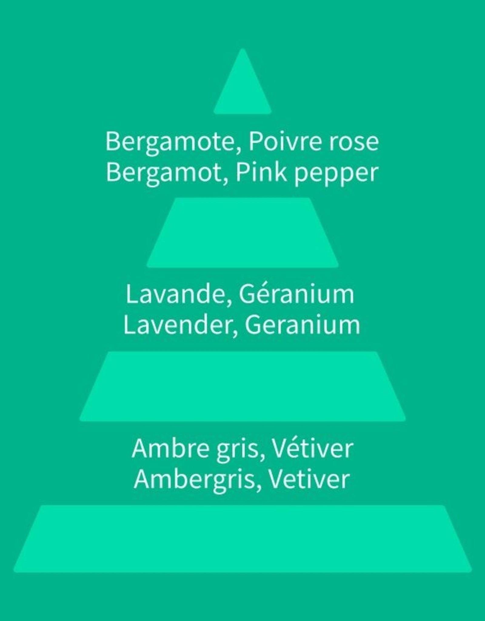 fougere aromatique