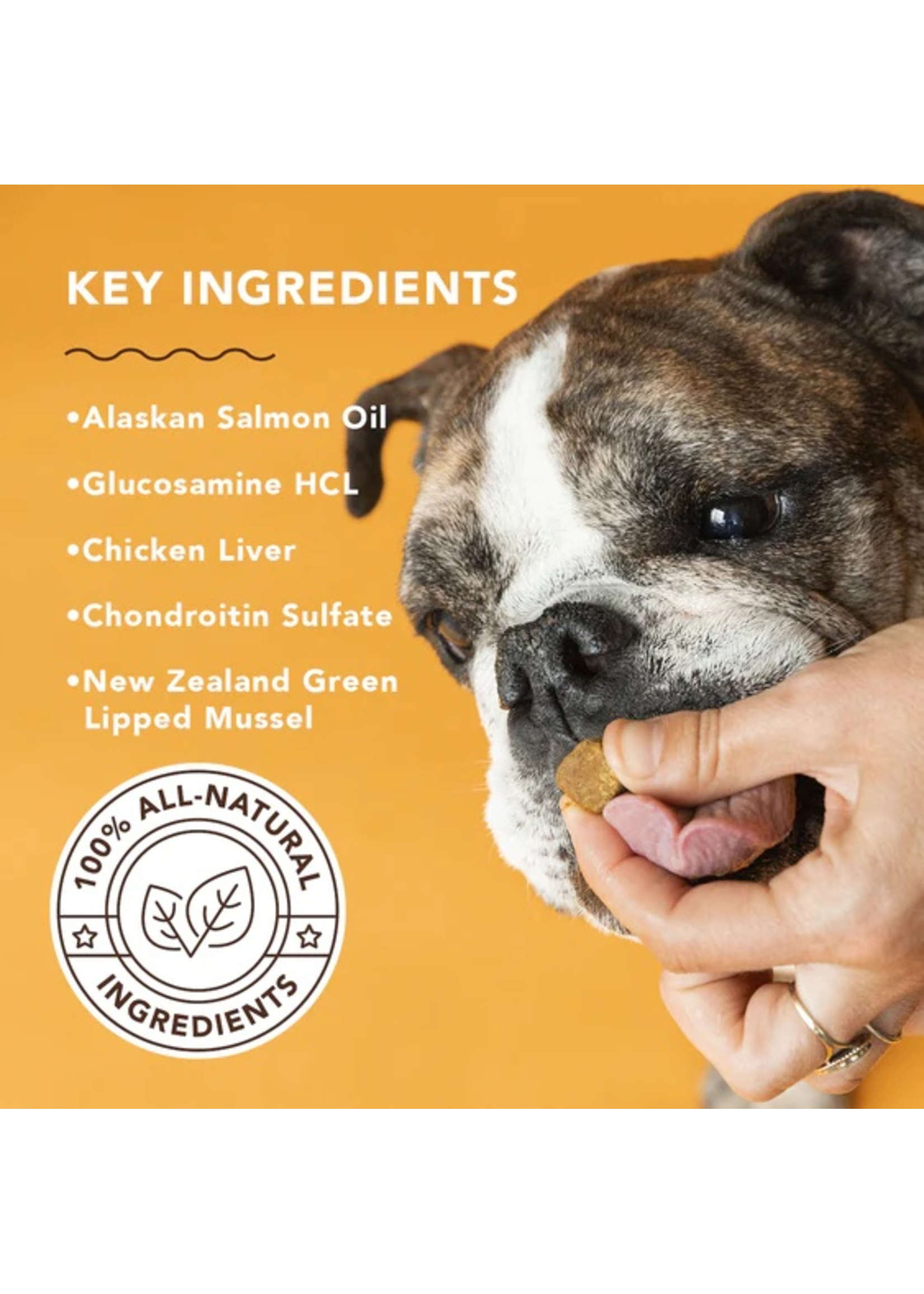 Natural's Natural, Hip & Joint, 90ct