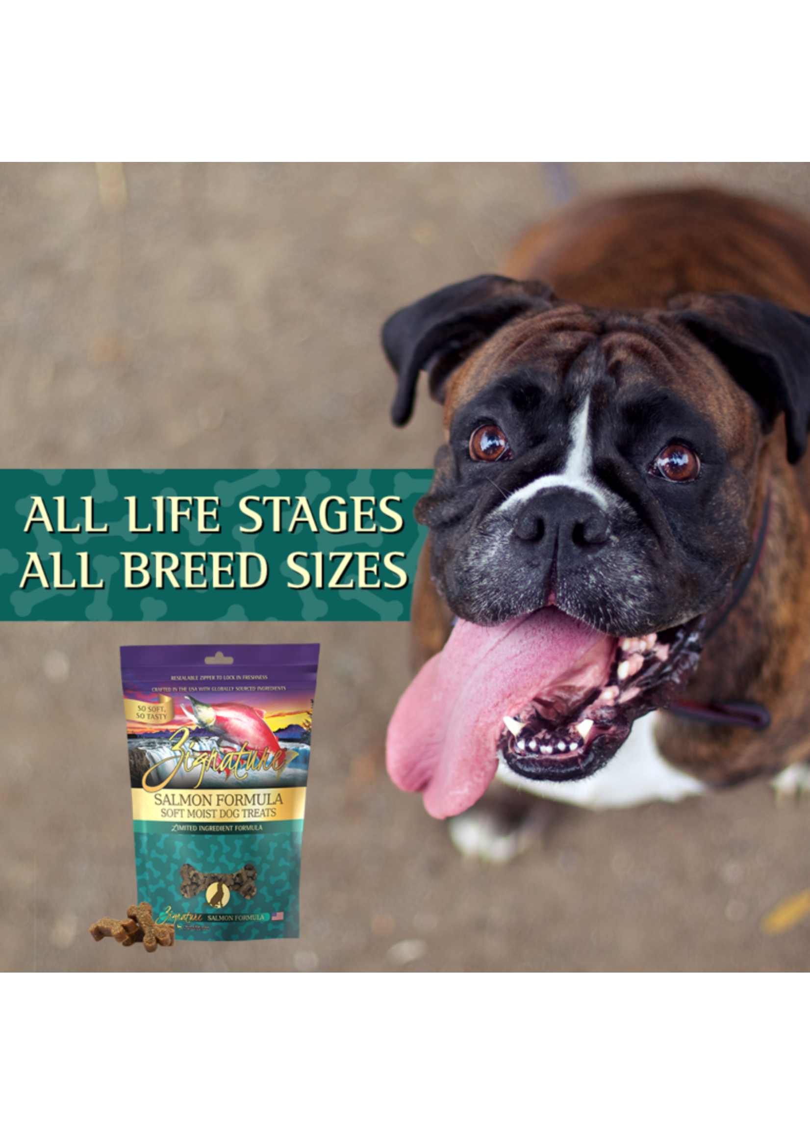 Zignature Zignature, D, Soft Treats, Bone Shaped, Salmon, 4z