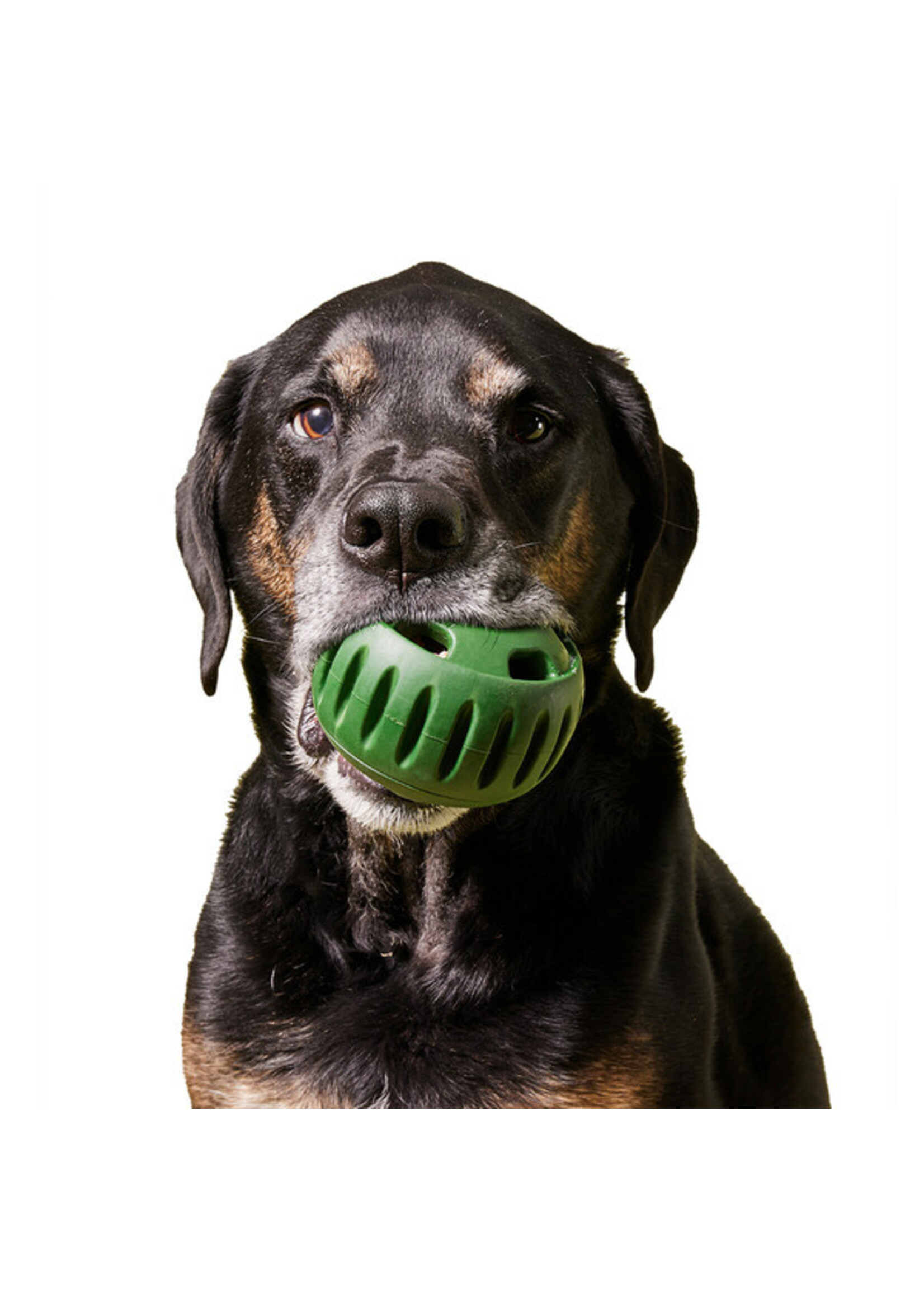 WOOF Woof, D, Pupsicle, Green, L