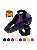 JOYRIDE HARNESS JOYRIDE, D, LED Harness, Assrtd, MED