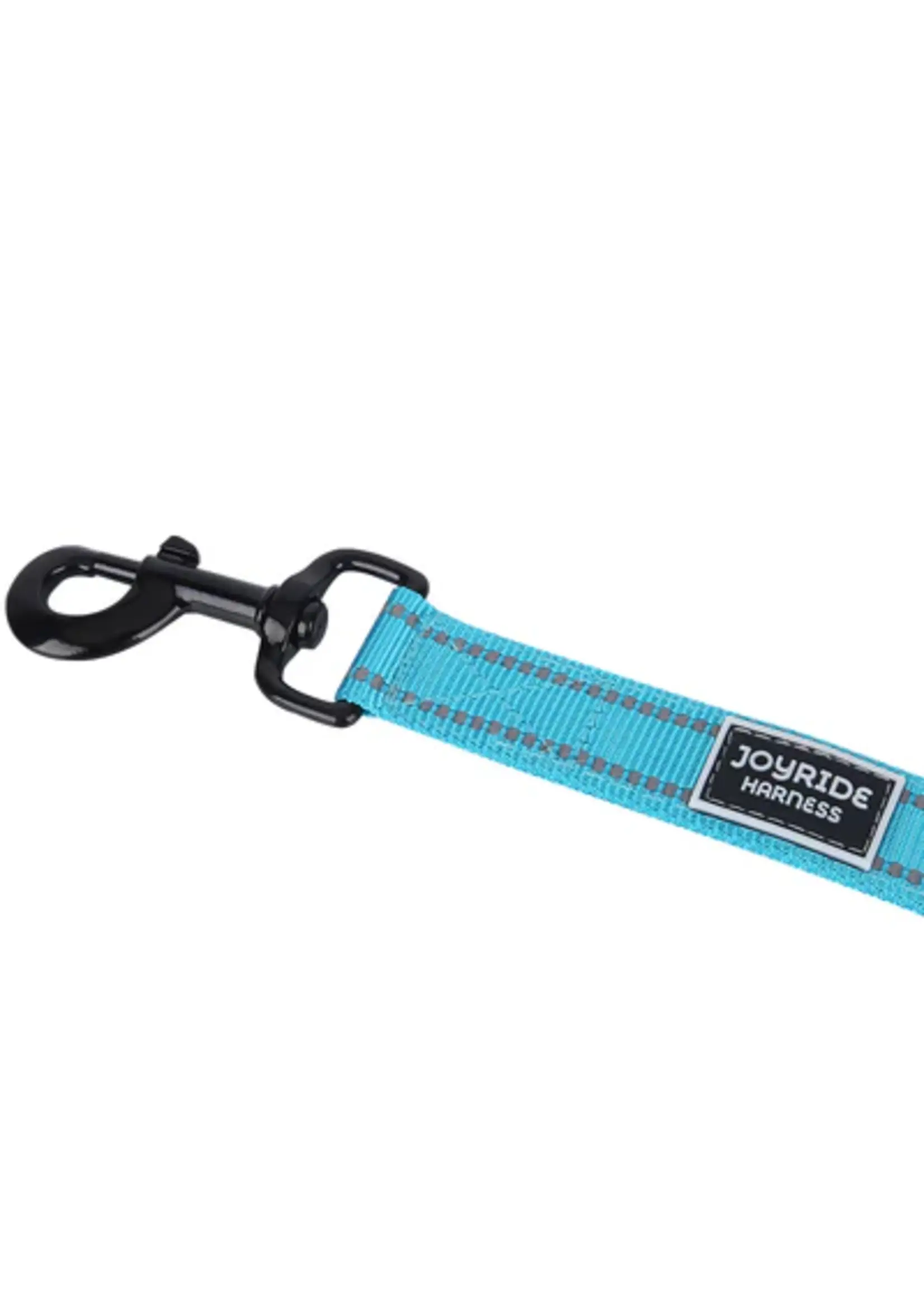 JOYRIDE HARNESS JOYRIDE, 2 IN 1 LEASH/SEATBELT, ASSRTD, L