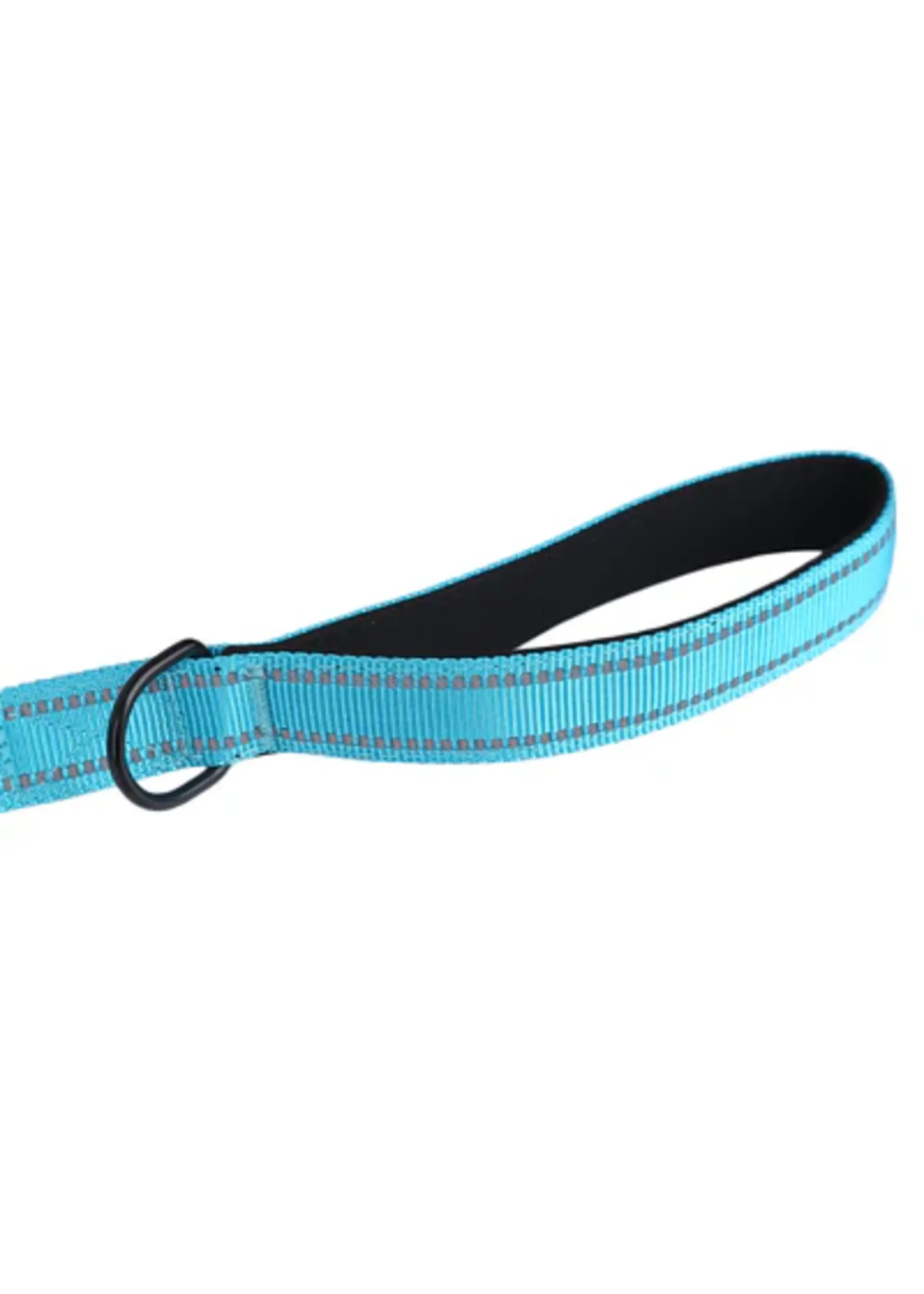 JOYRIDE HARNESS JOYRIDE, 2 IN 1 LEASH/SEATBELT, ASSRTD, L
