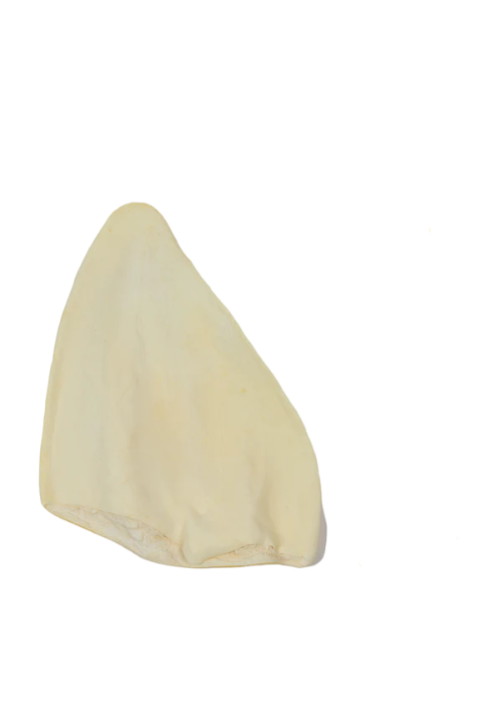 ZentaPets ZentaPets,  Cow Ears, Jumbo, individual