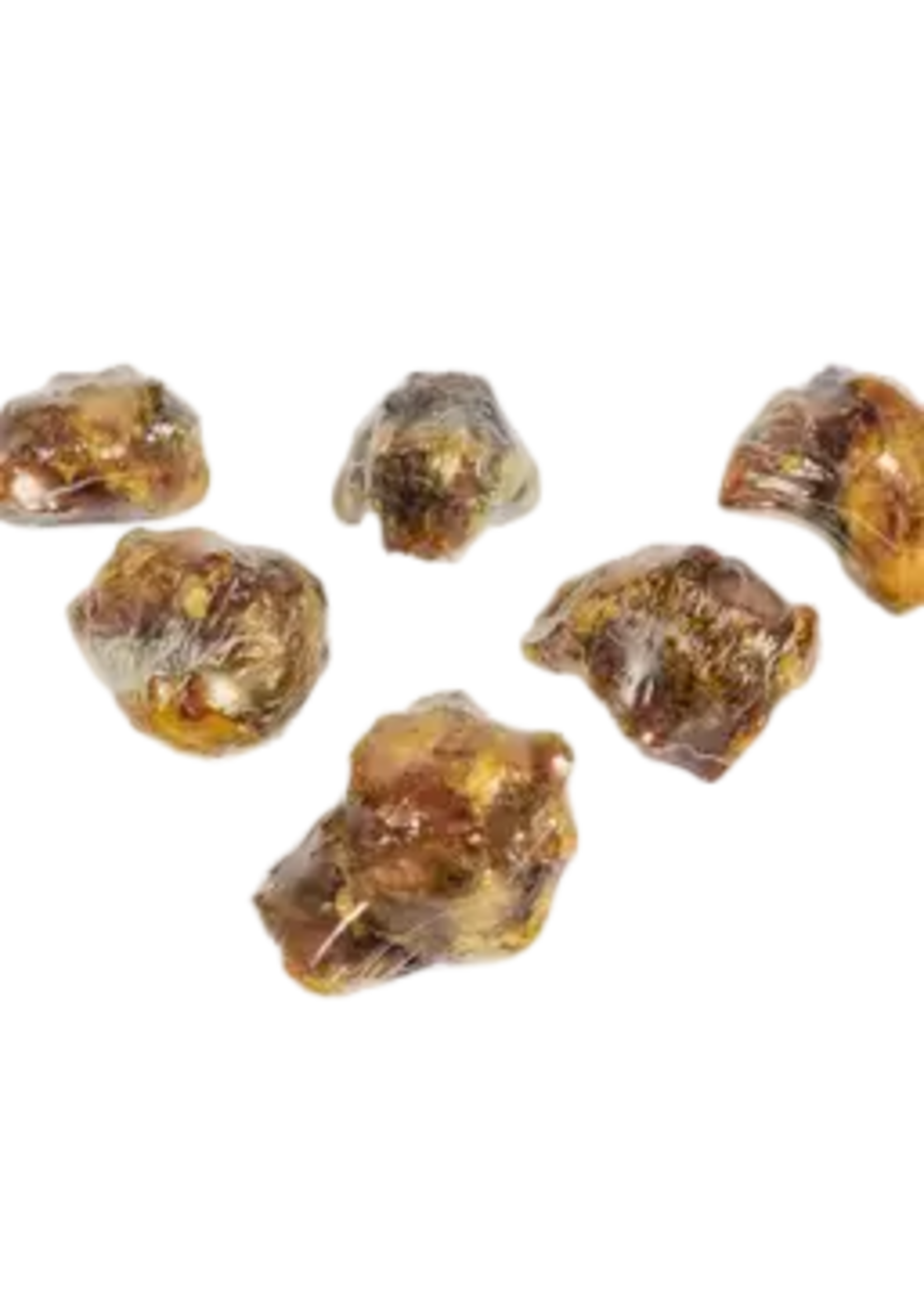 ZentaPets Zenta Pets, Beef Knee Caps, individual