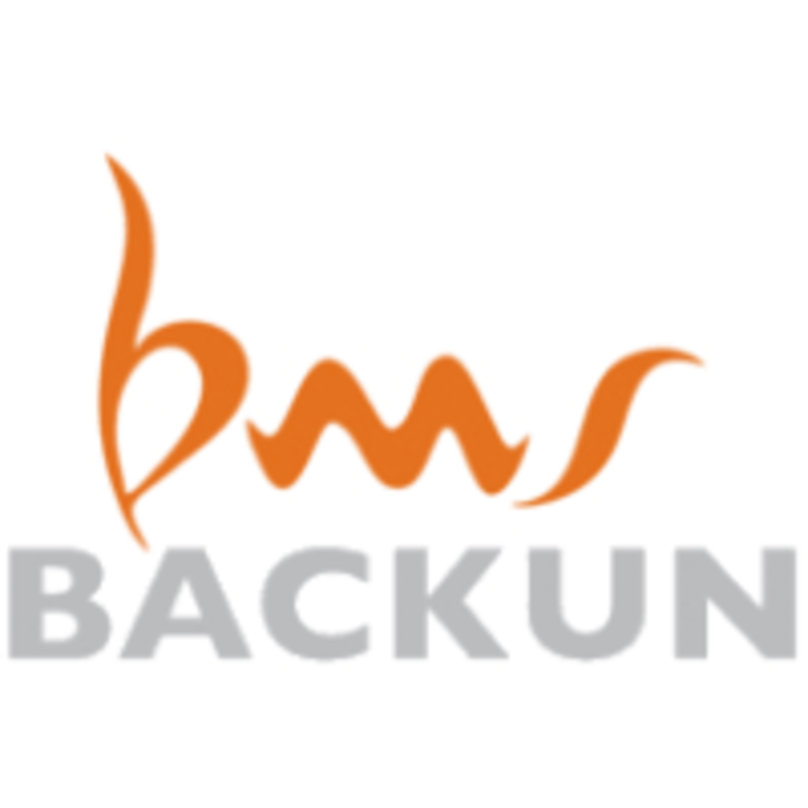 Backun Used Backun Model F B-flat Clarinet, floor model