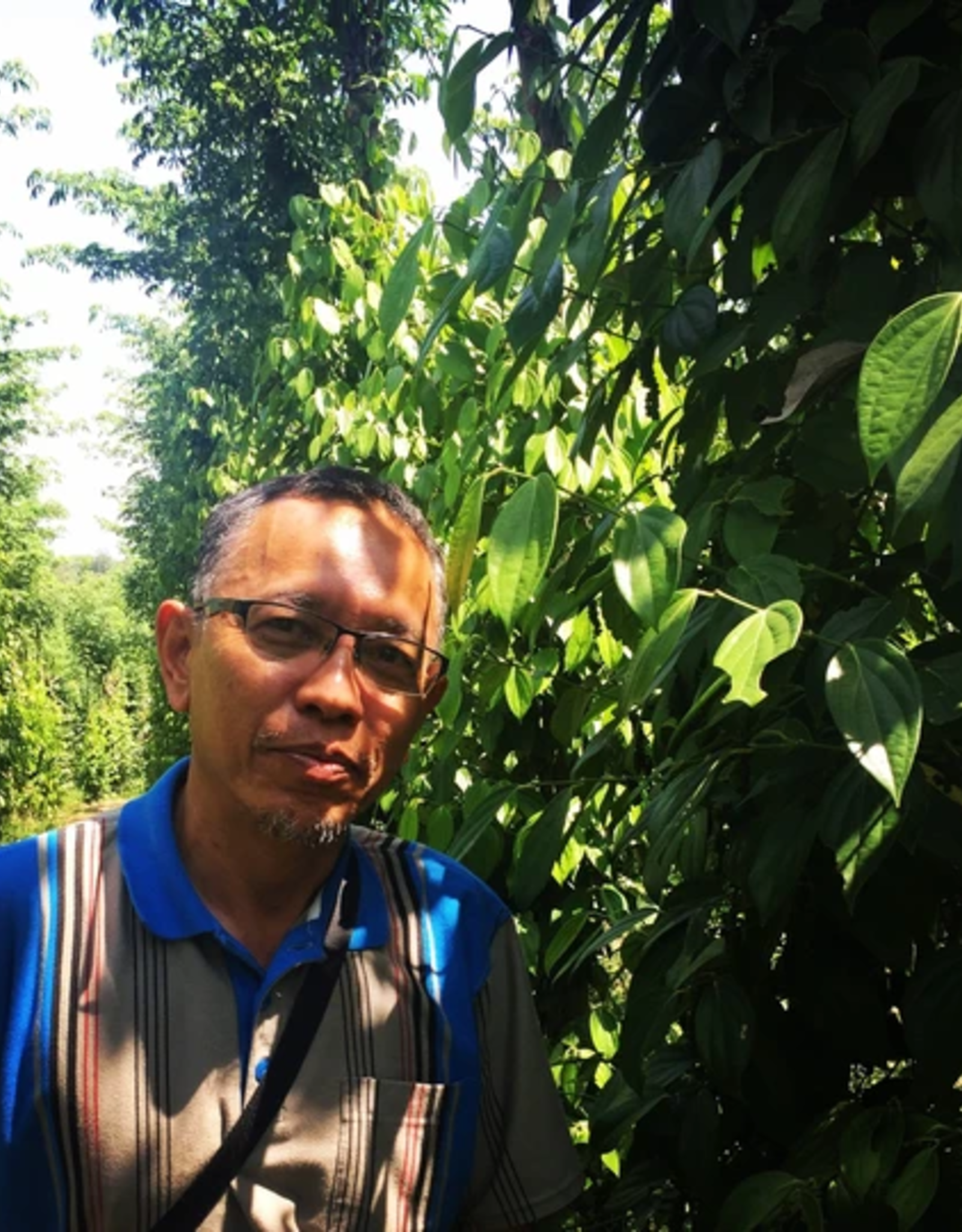 Burlap & Barrel Fermented White Pepper