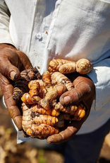 Burlap & Barrel New Harvest Turmeric