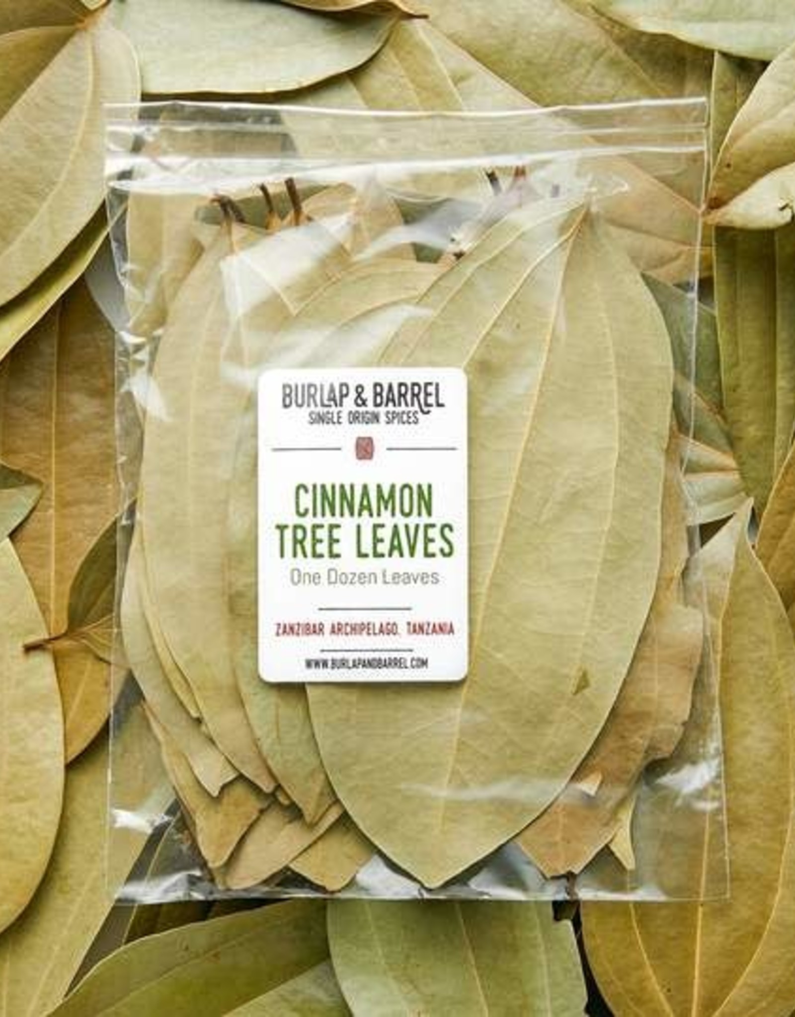 Burlap & Barrel Cinnamon Tree Leaves
