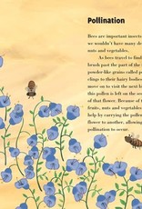 Barefoot Books The Beeman (Softcover)