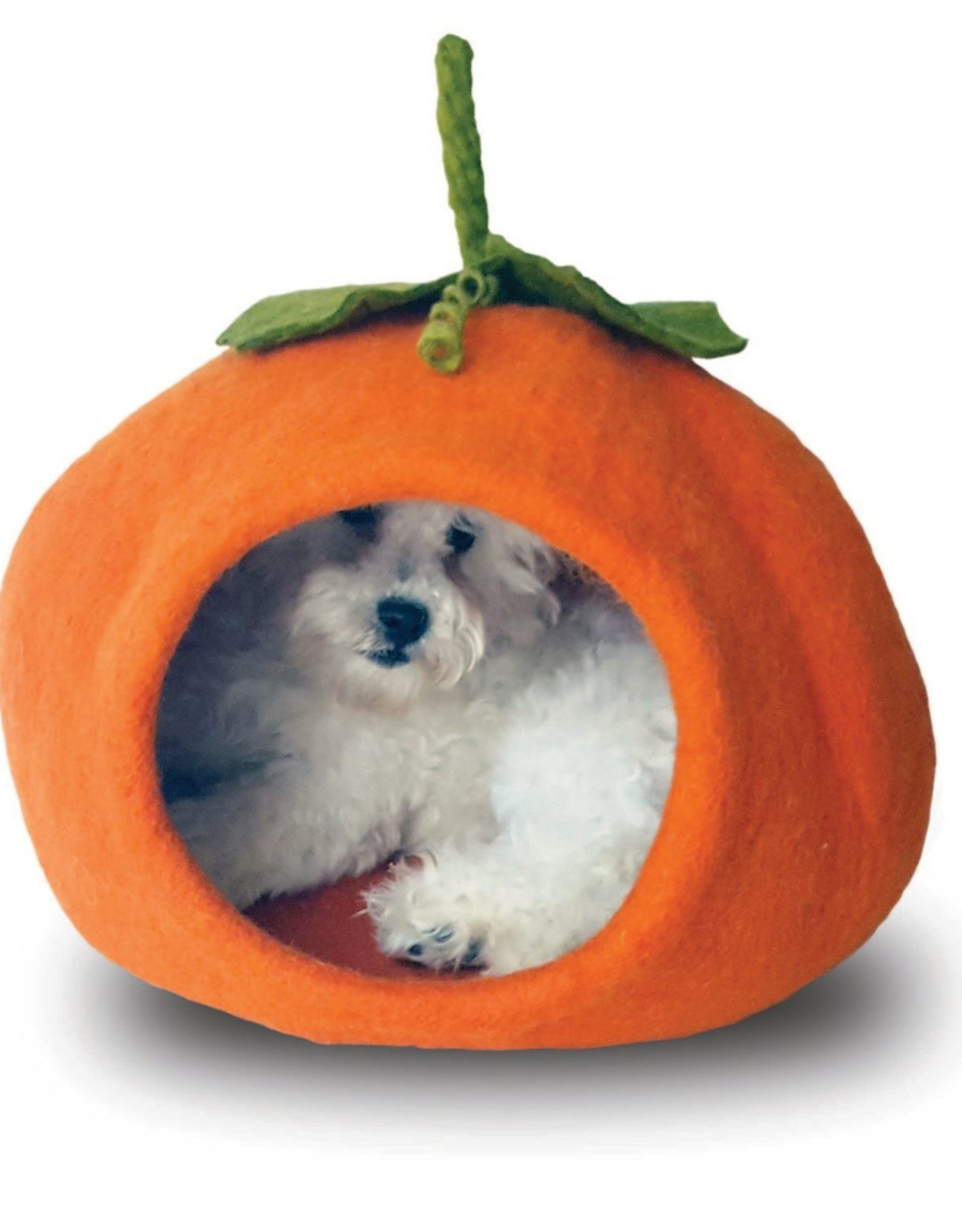 Dharma Dog Karma Cat Pumpkin Pet Cave