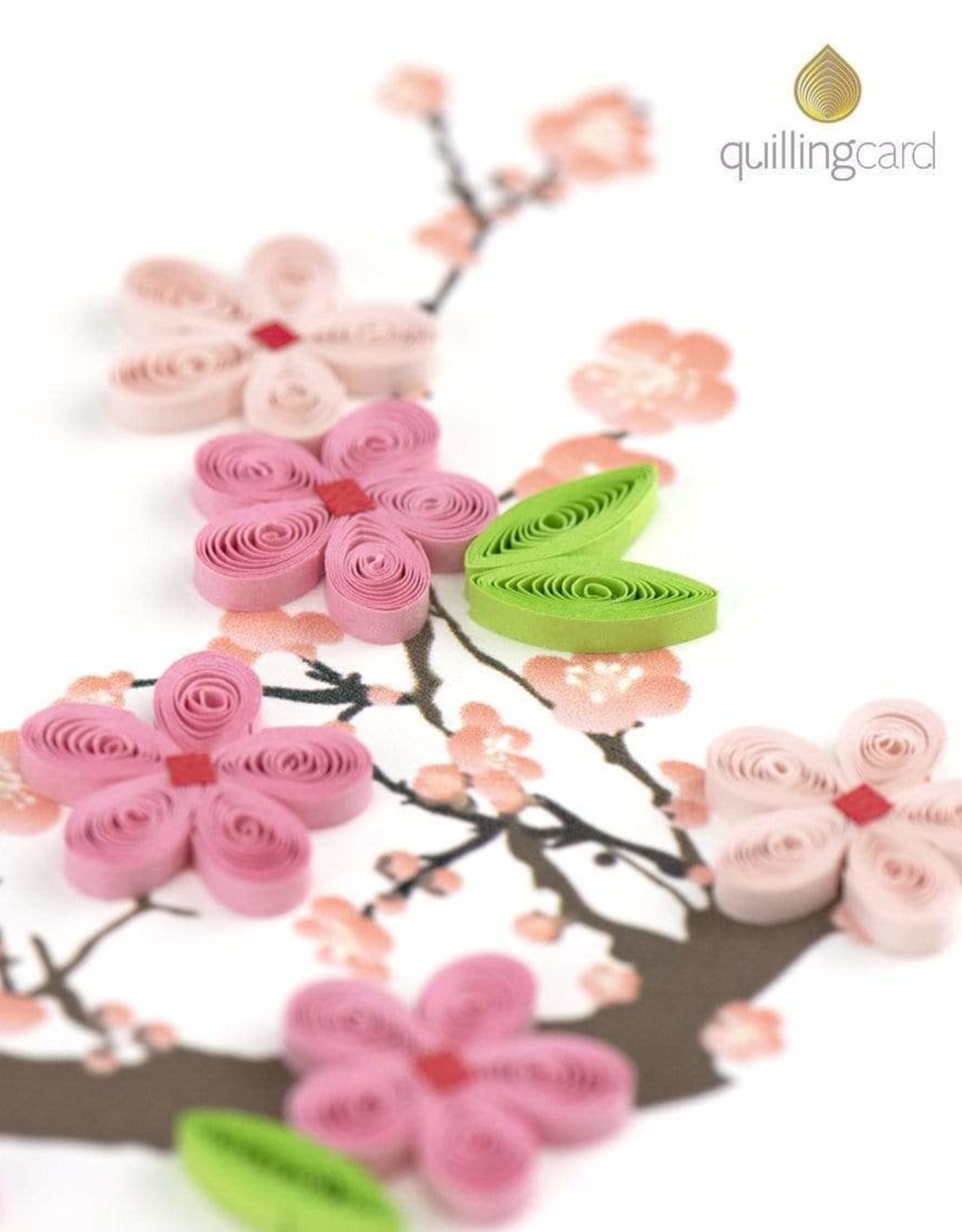Quilling Card Quilled Cherry Blossom Card