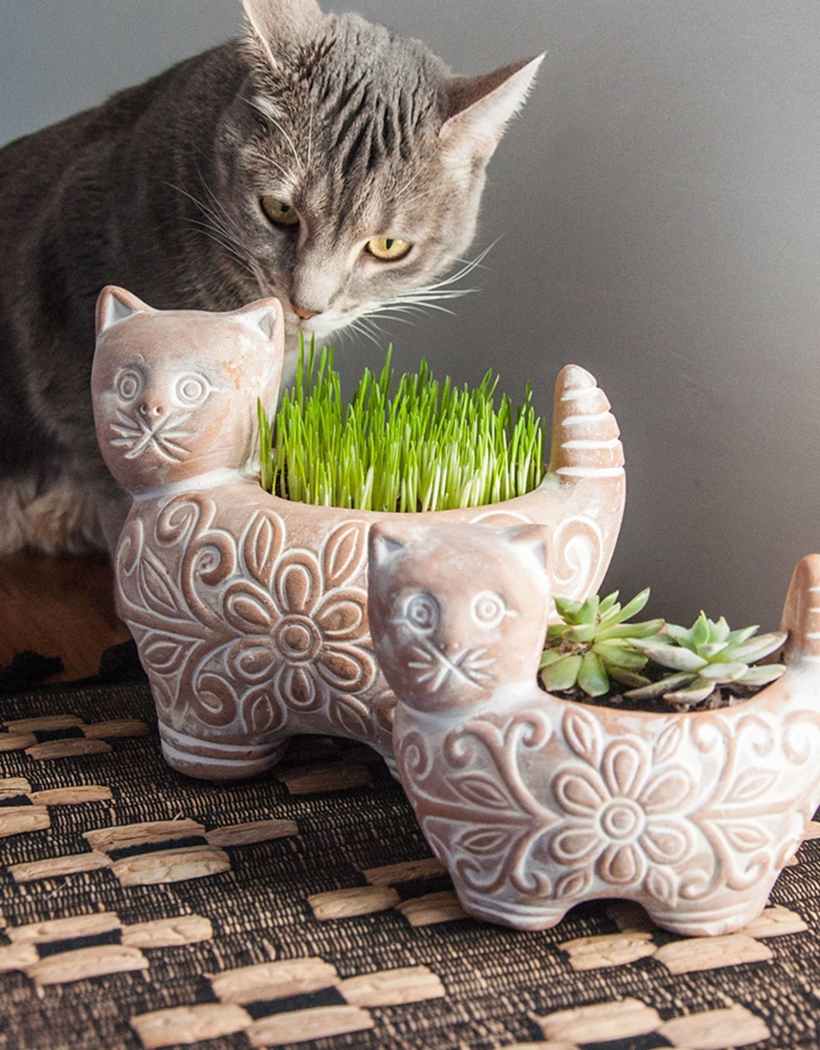 Ten Thousand Villages Garden Kitty Planter (Small)