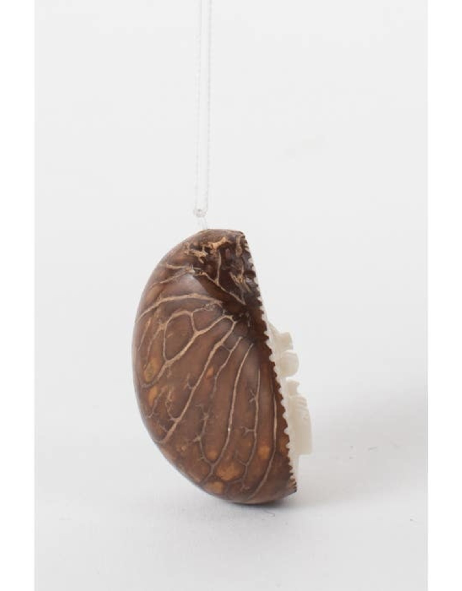 Ten Thousand Villages Tagua Hedgehog Ornament