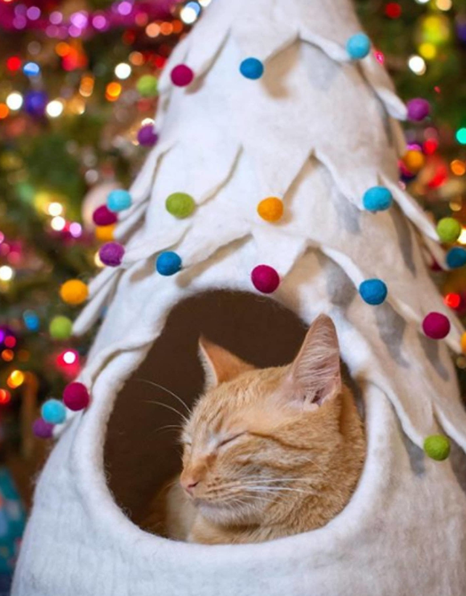 Dharma Dog Karma Cat Holiday Tree Wool Pet Cave