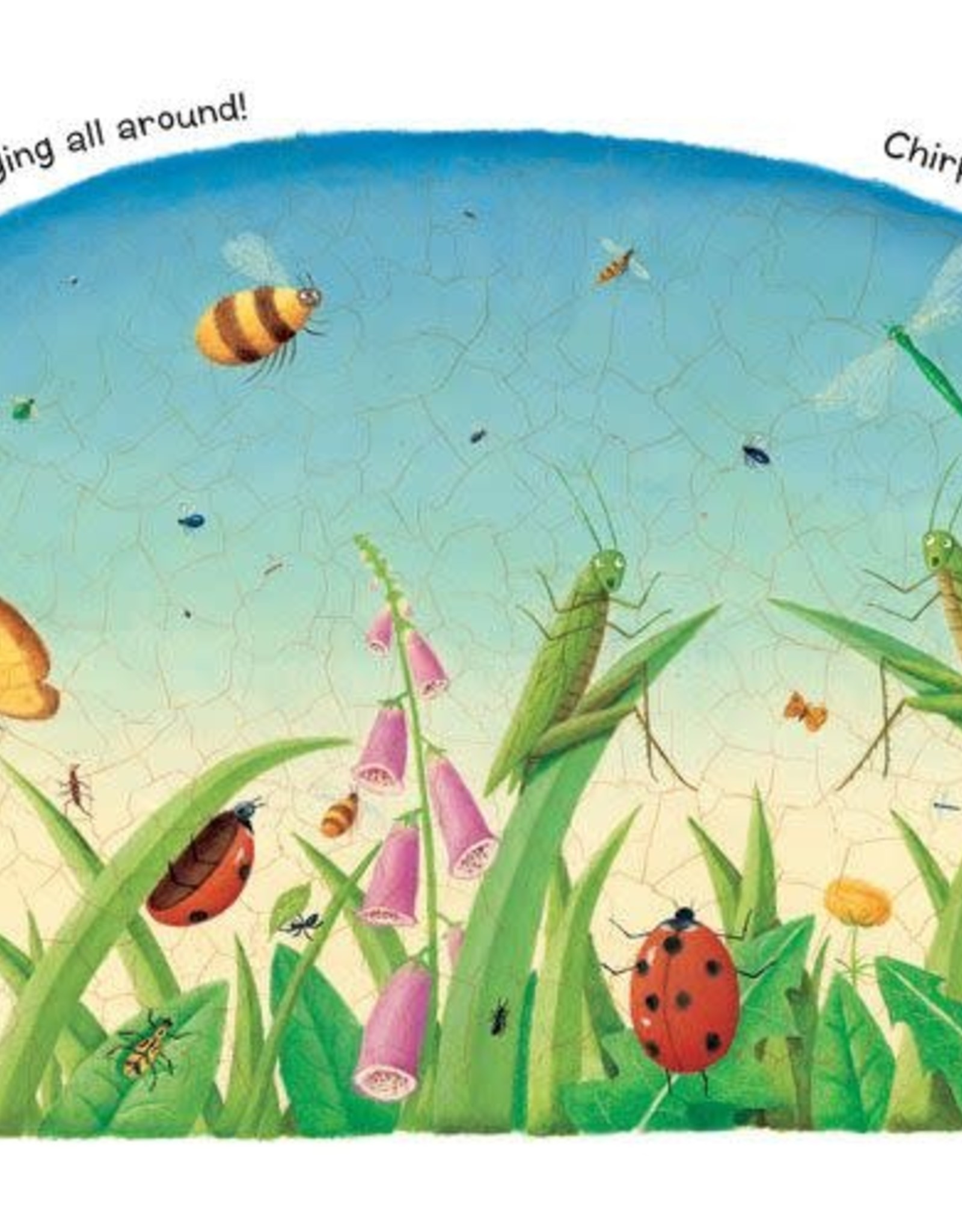 Barefoot Books Listen, Listen (Board Book)