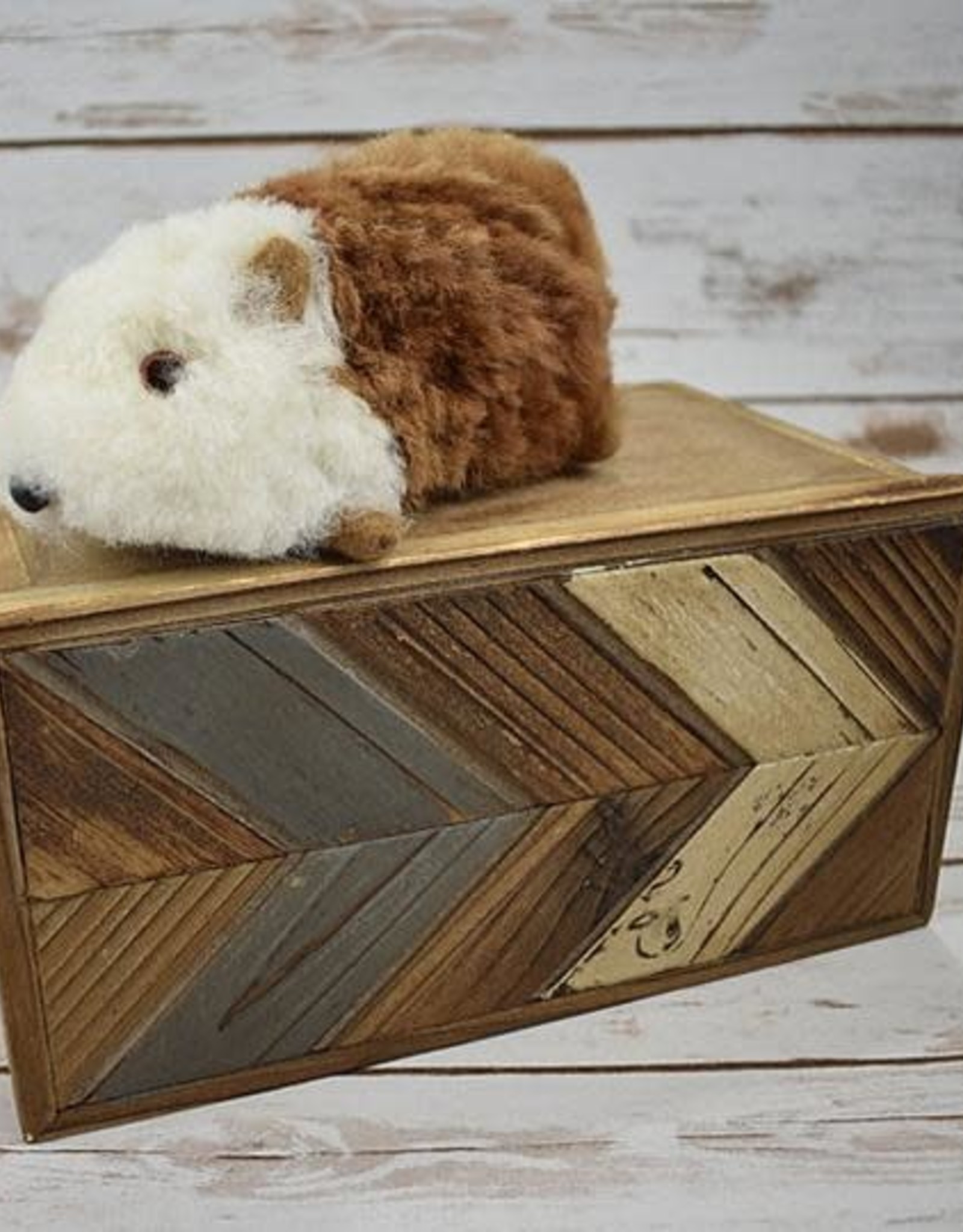 Blossom Inspirations Cuyita Guinea Pig Alpaca Fur Toy 8"x 3"