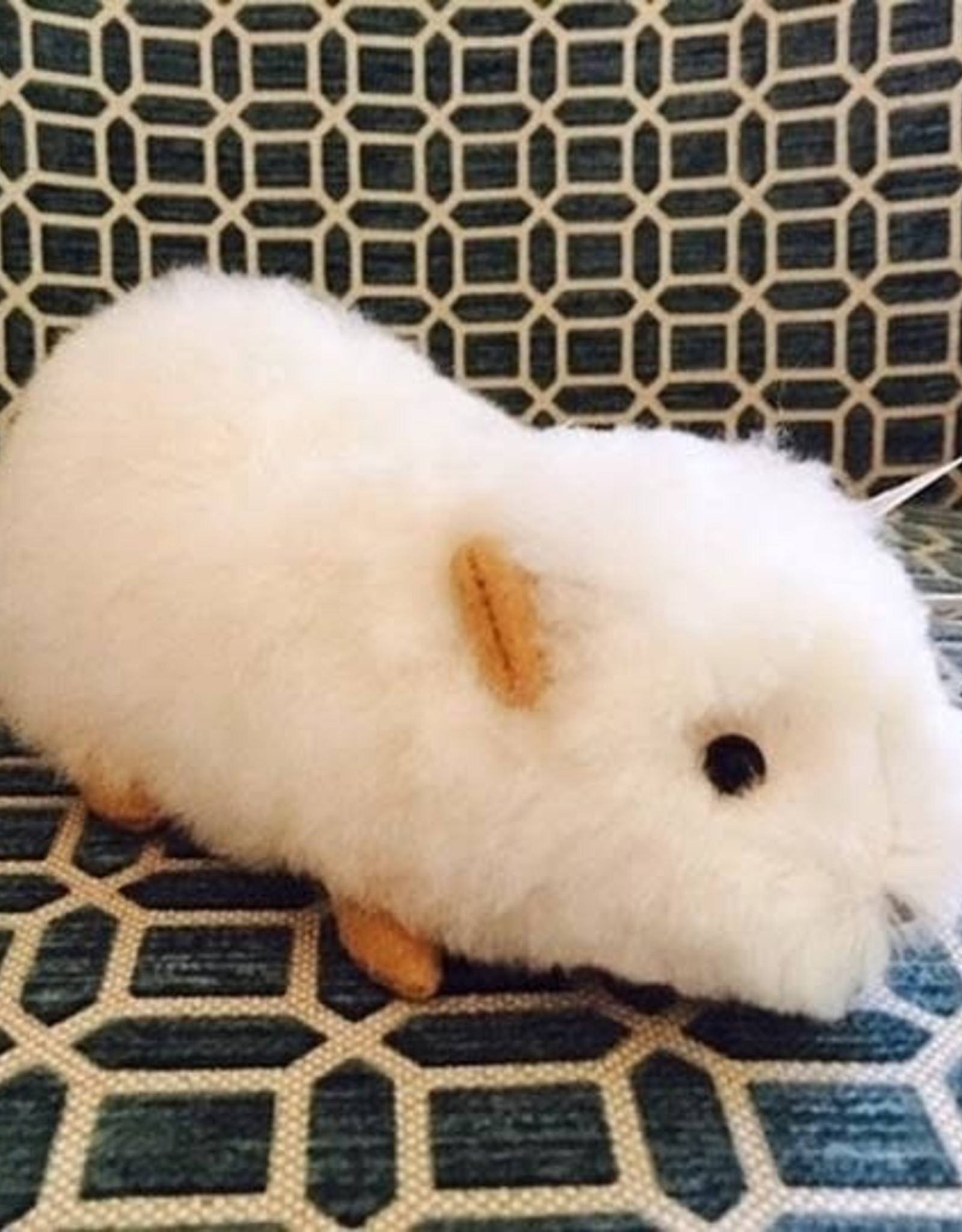 Blossom Inspirations Cuyita Guinea Pig Alpaca Fur Toy 8"x 3"