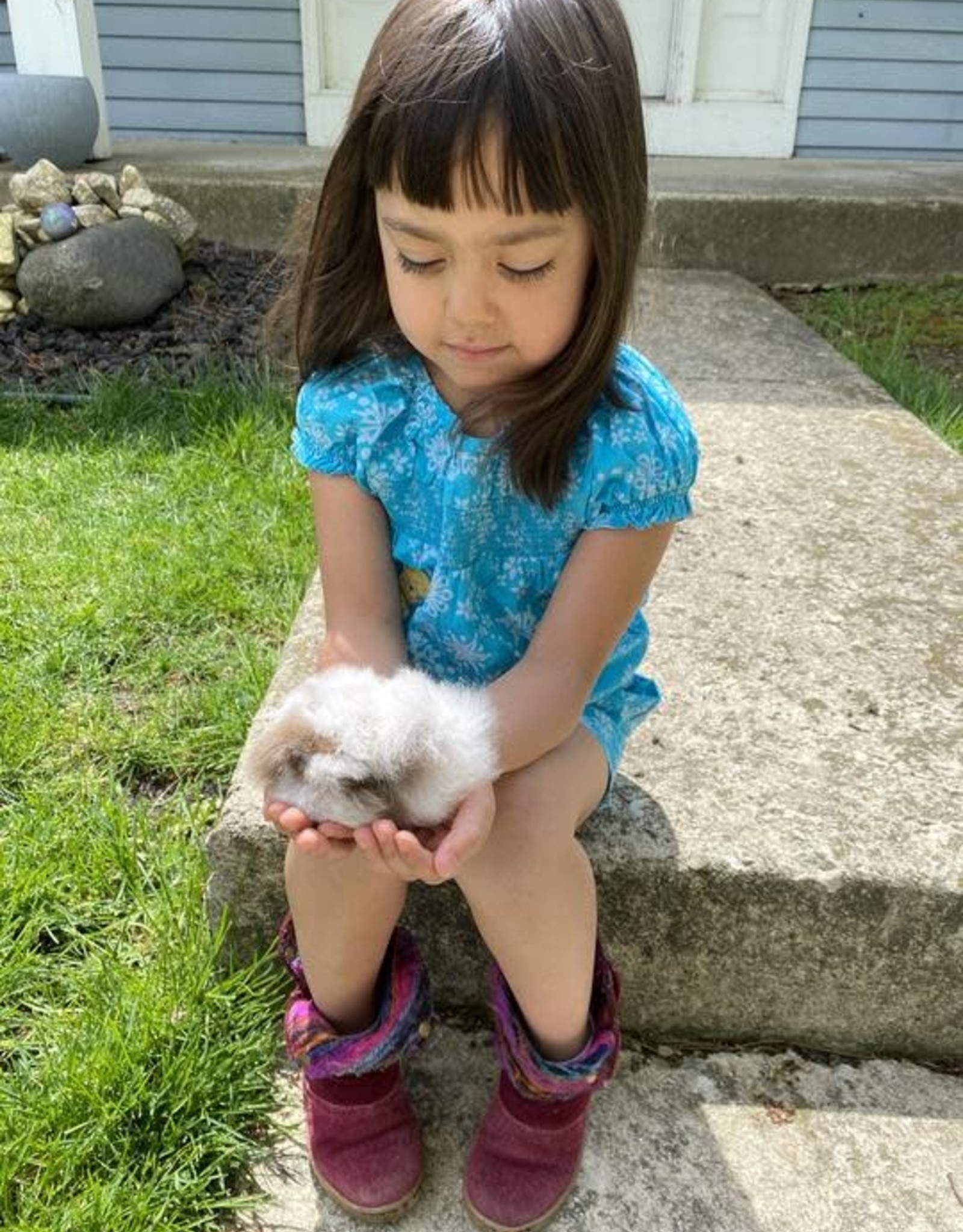 Blossom Inspirations Cuyita Guinea Pig Alpaca Fur Toy 8"x 3"