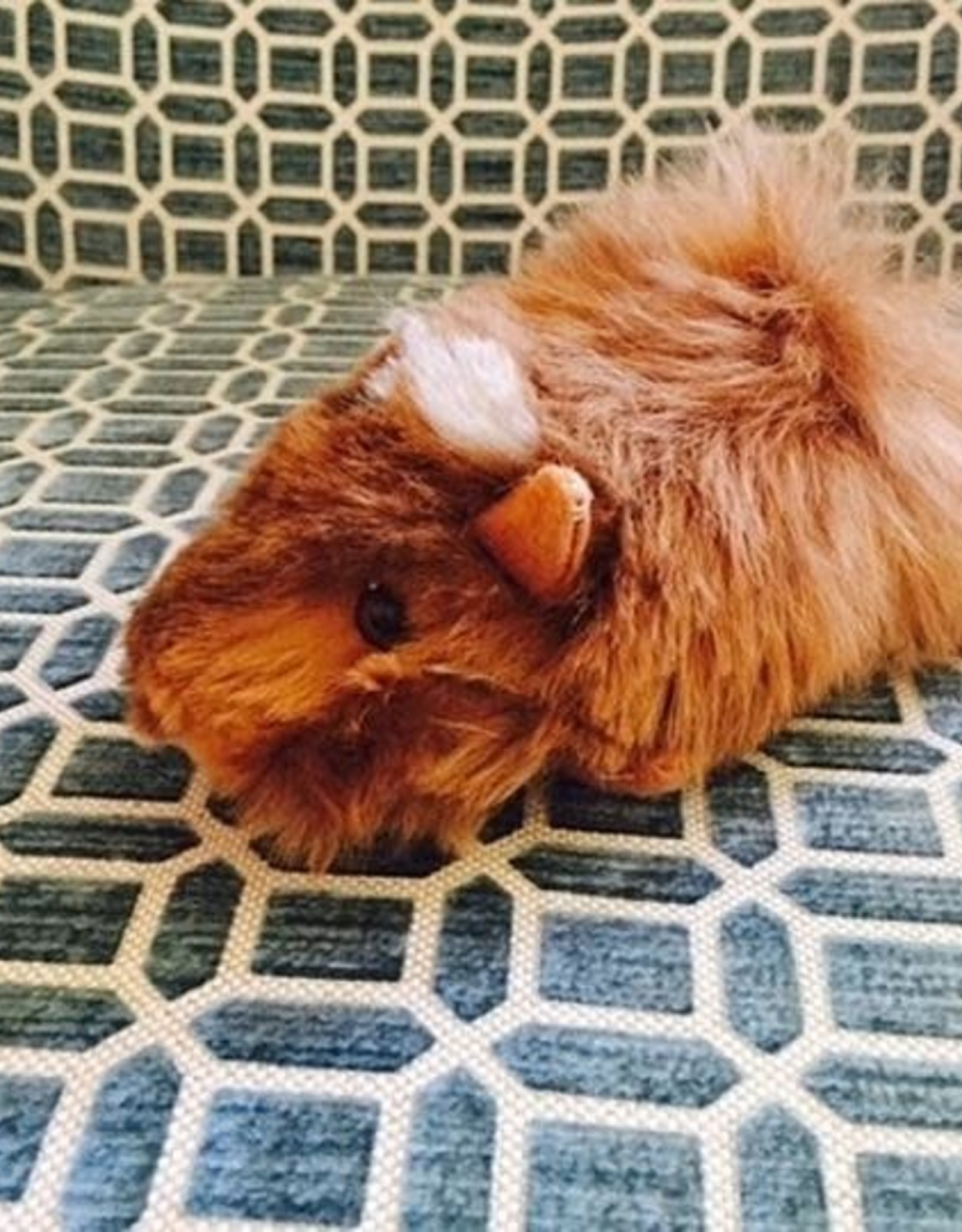 Blossom Inspirations Cuyita Guinea Pig Alpaca Fur Toy 8"x 3"