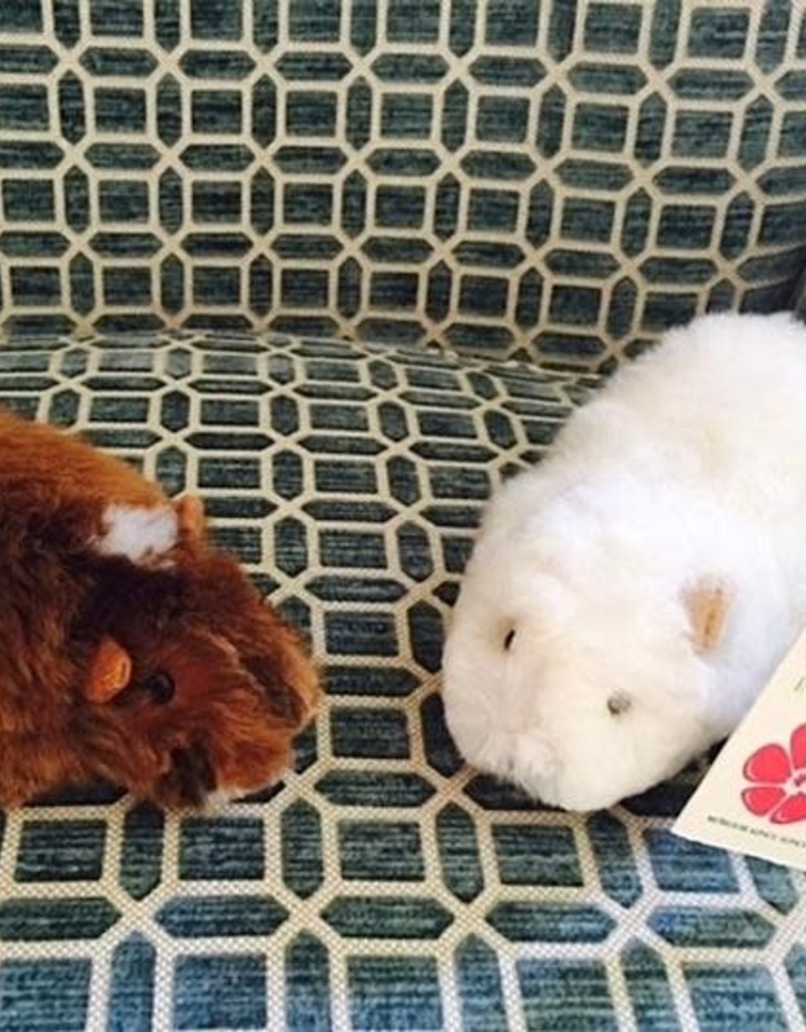 Blossom Inspirations Cuyita Guinea Pig Alpaca Fur Toy 8"x 3"