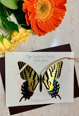 Tulia Artisans Tiger Swallowtail Butterfly Ornament