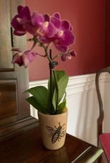 Women of the Cloud Forest Honeybee Orchid Vase