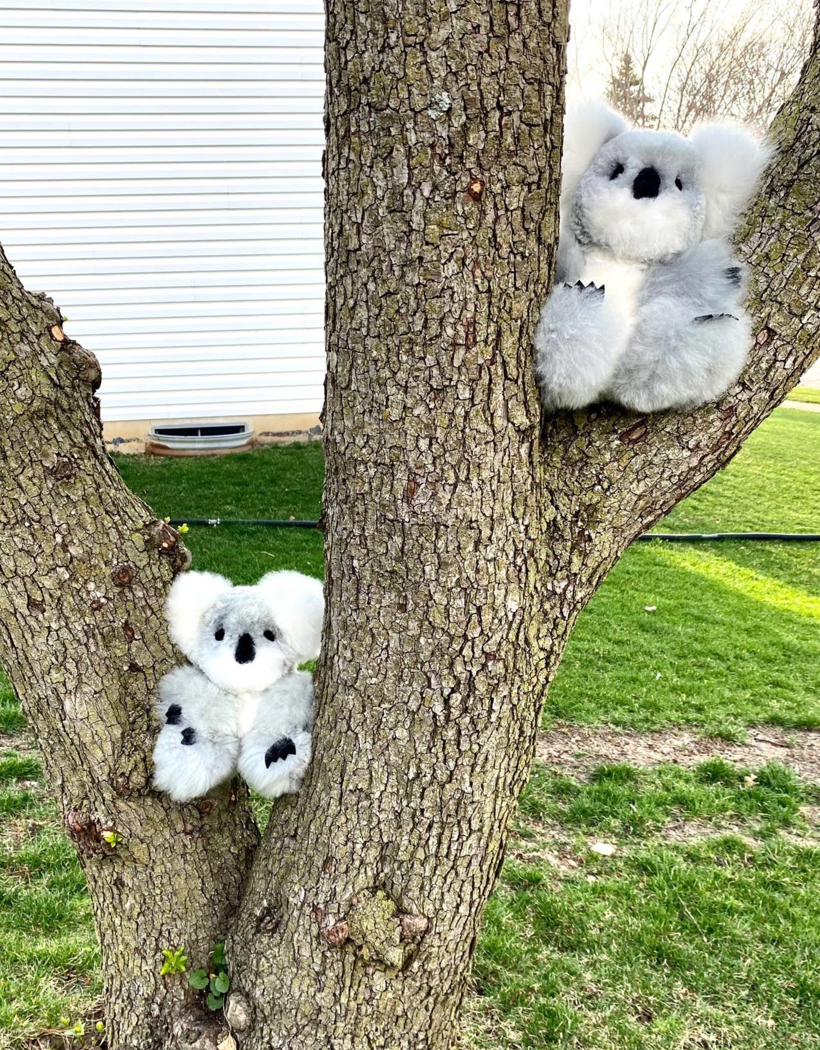 Blossom Inspirations Koala Alpaca Fur Toy