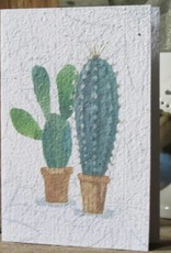 Koru Street Growing Paper Greeting Card - Cactus