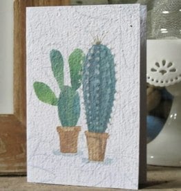 Koru Street Growing Paper Greeting Card - Cactus