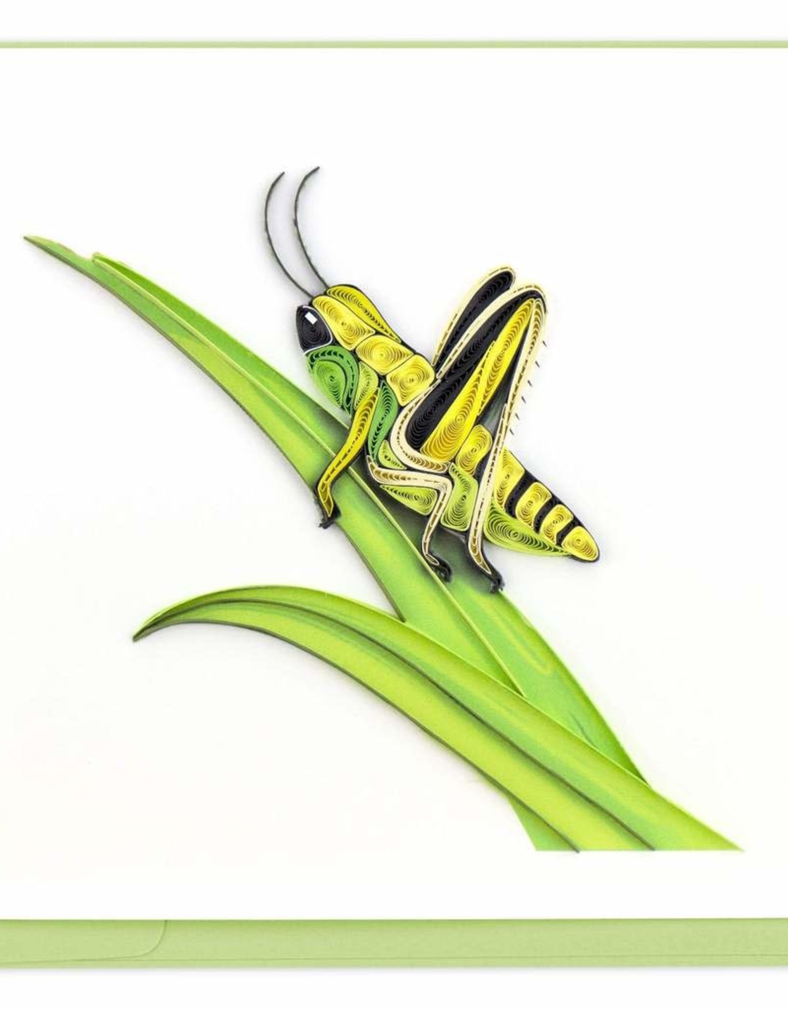Quilling Card Quilled Grasshopper Greeting Card