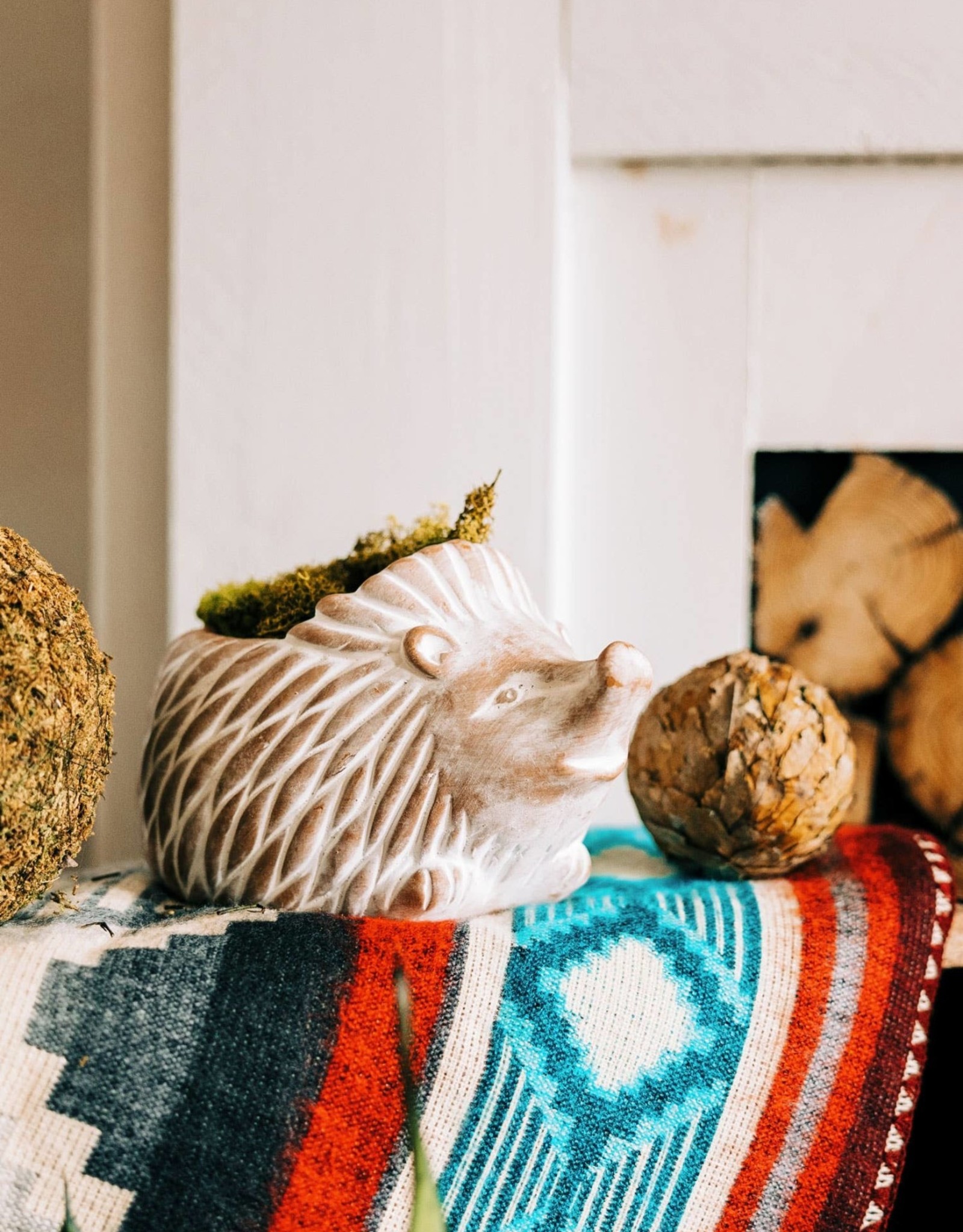 Ten Thousand Villages Hedgehog Terracotta Planter (Large)