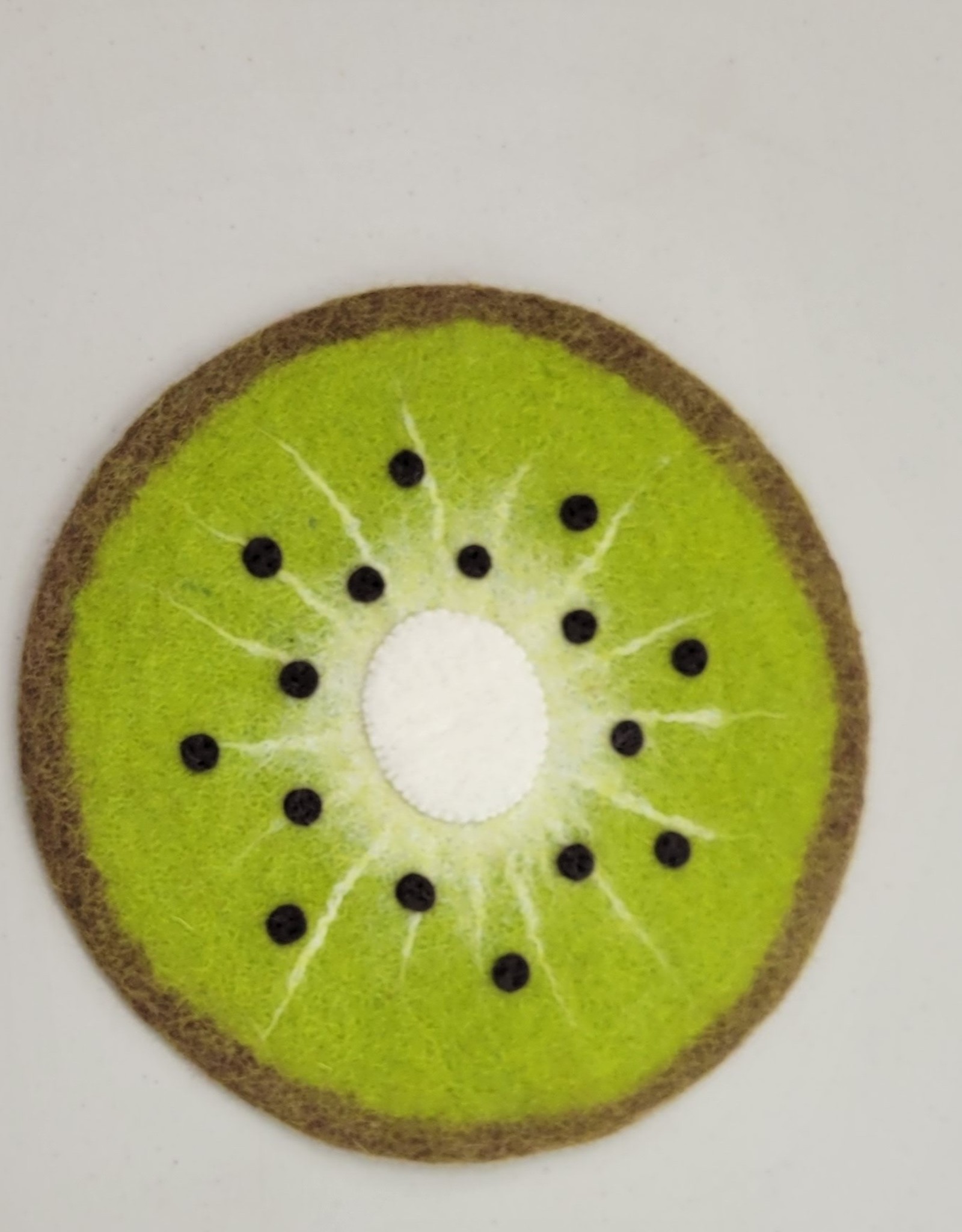 Ganesh Himal Felt Potholder Kiwi