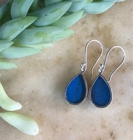 Women of the Cloud Forest Blue Morpho Butterfly Earrings