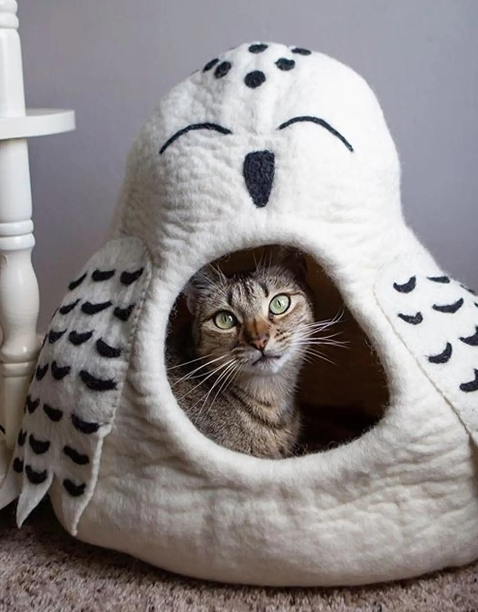 Dharma Dog Karma Cat Snowy Owl Pet Cave