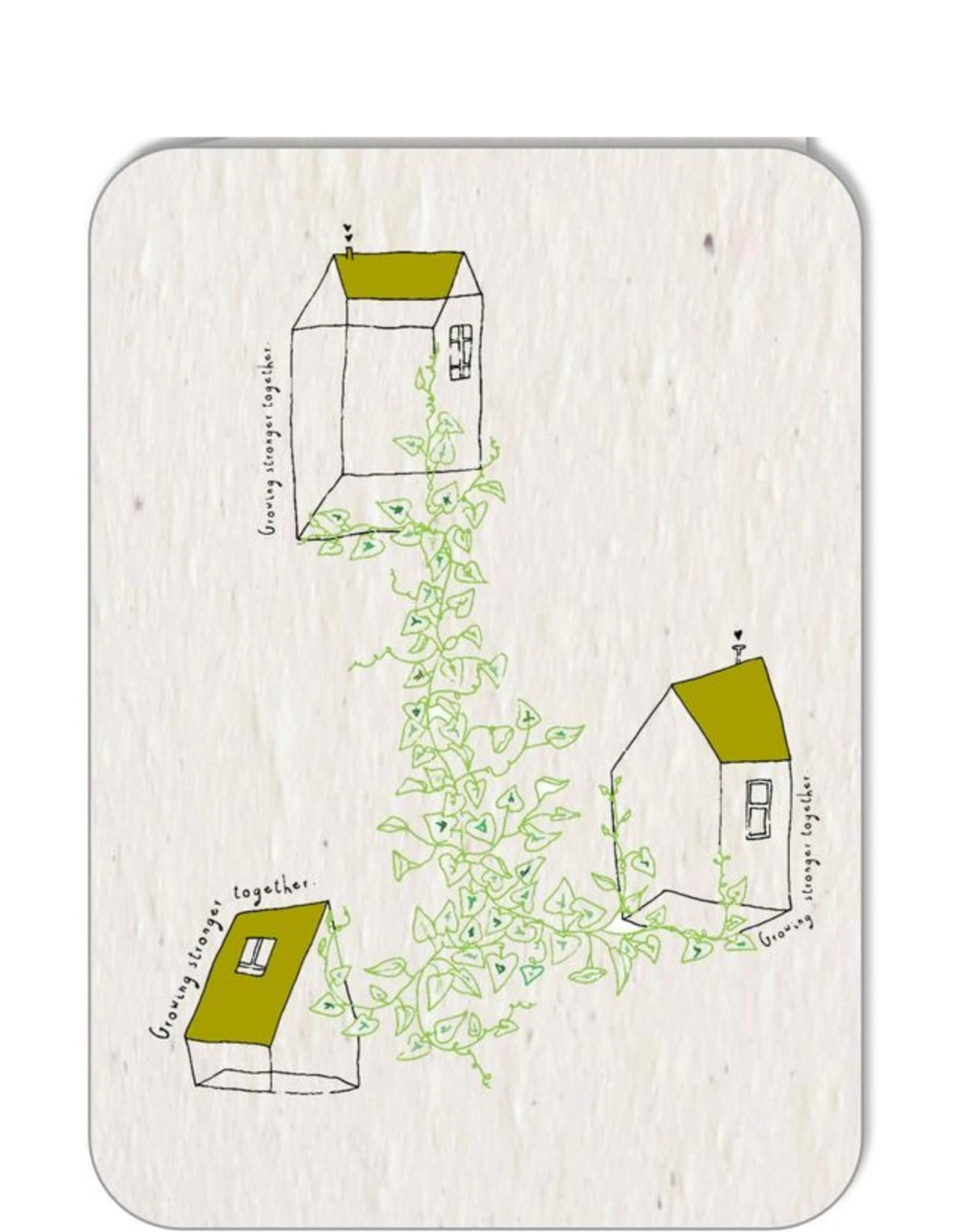 Koru Street Growing Paper Greeting Card - Sustainable Seasons Postcard Set