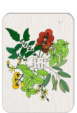 Koru Street Growing Paper Greeting Card - Sustainable Seasons Postcard Set