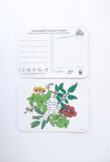 Koru Street Growing Paper Greeting Card - Sustainable Seasons Postcard Set