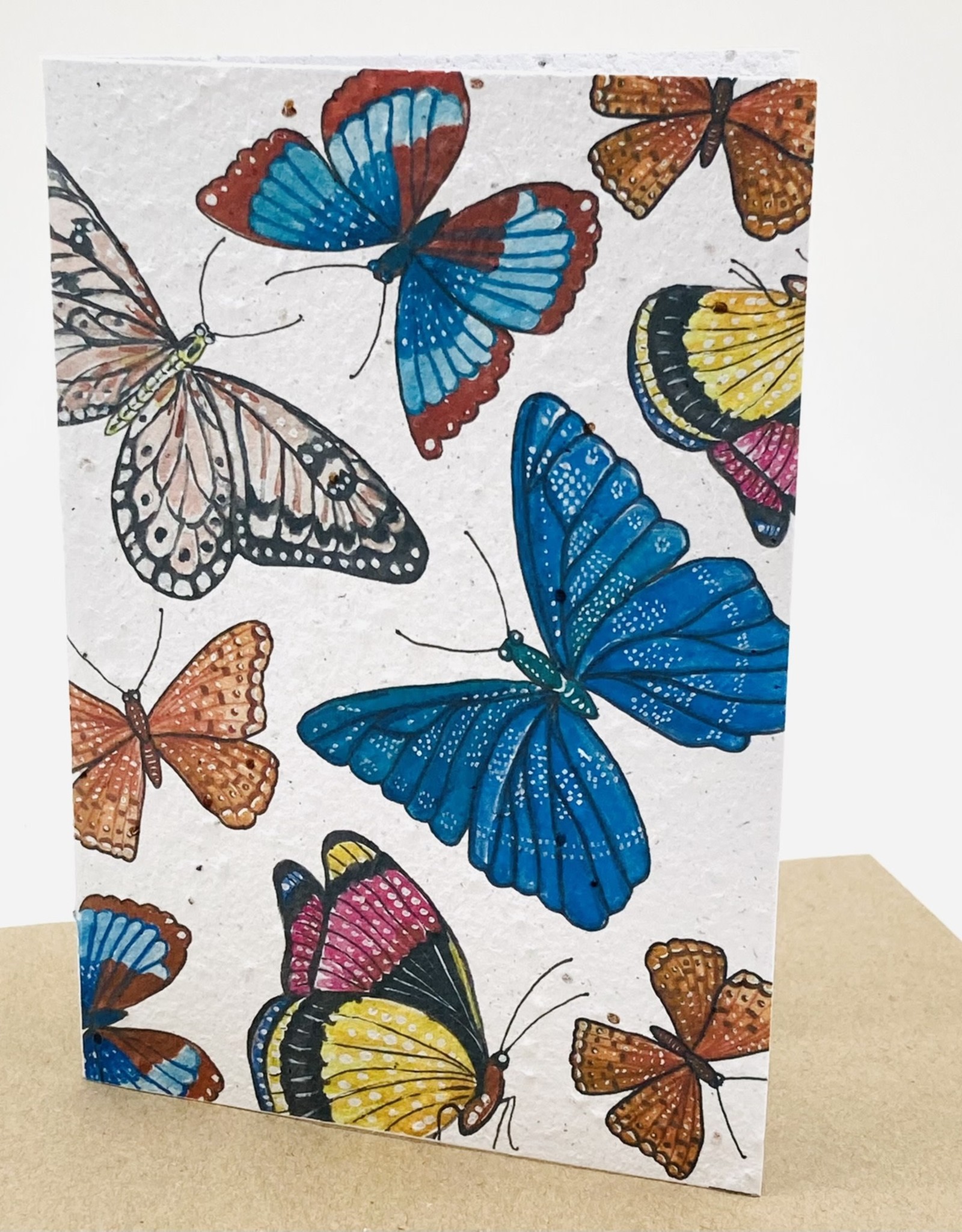 Koru Street Growing Paper Greeting Card - Butterfly Print