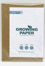 Koru Street Growing Paper Greeting Card - Gardening