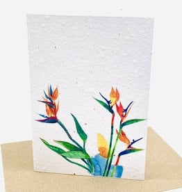 Koru Street Growing Paper Greeting Card - Bird of Paradise