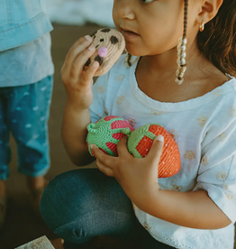 Pebble Friendly Chocolate Chip Cookie Rattle