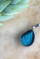 Women of the Cloud Forest Three-Toned Prepona Butterfly Pendant