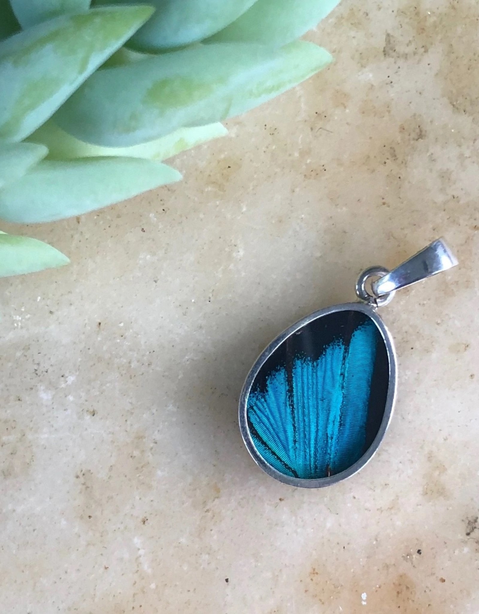 Women of the Cloud Forest Three-Toned Prepona Butterfly Pendant