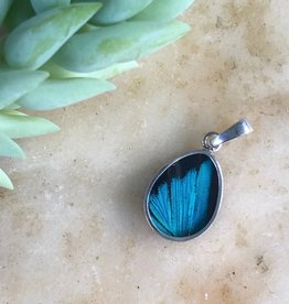 Women of the Cloud Forest Three-Toned Prepona Butterfly Pendant