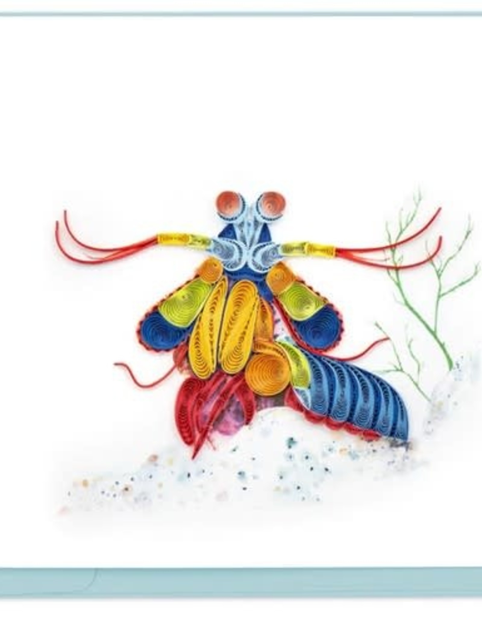 Quilling Card Quilled Mantis Shrimp Greeting Card