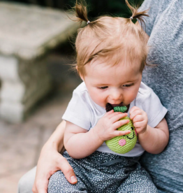 Pebble Friendly Pear Rattle