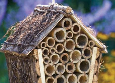 Birdhouses & Feeders