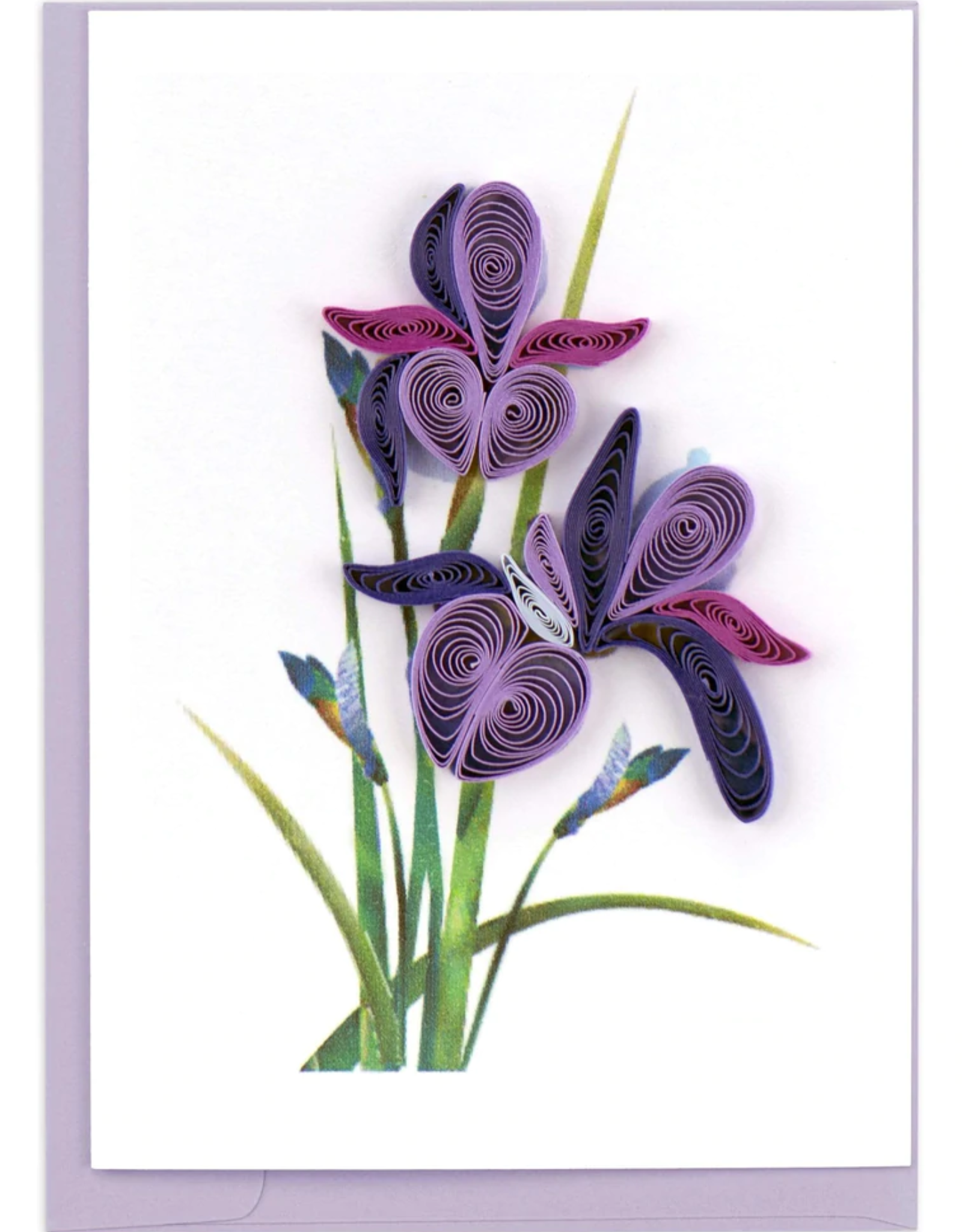 Quilling Card Quilled Iris Gift Enclosure Card