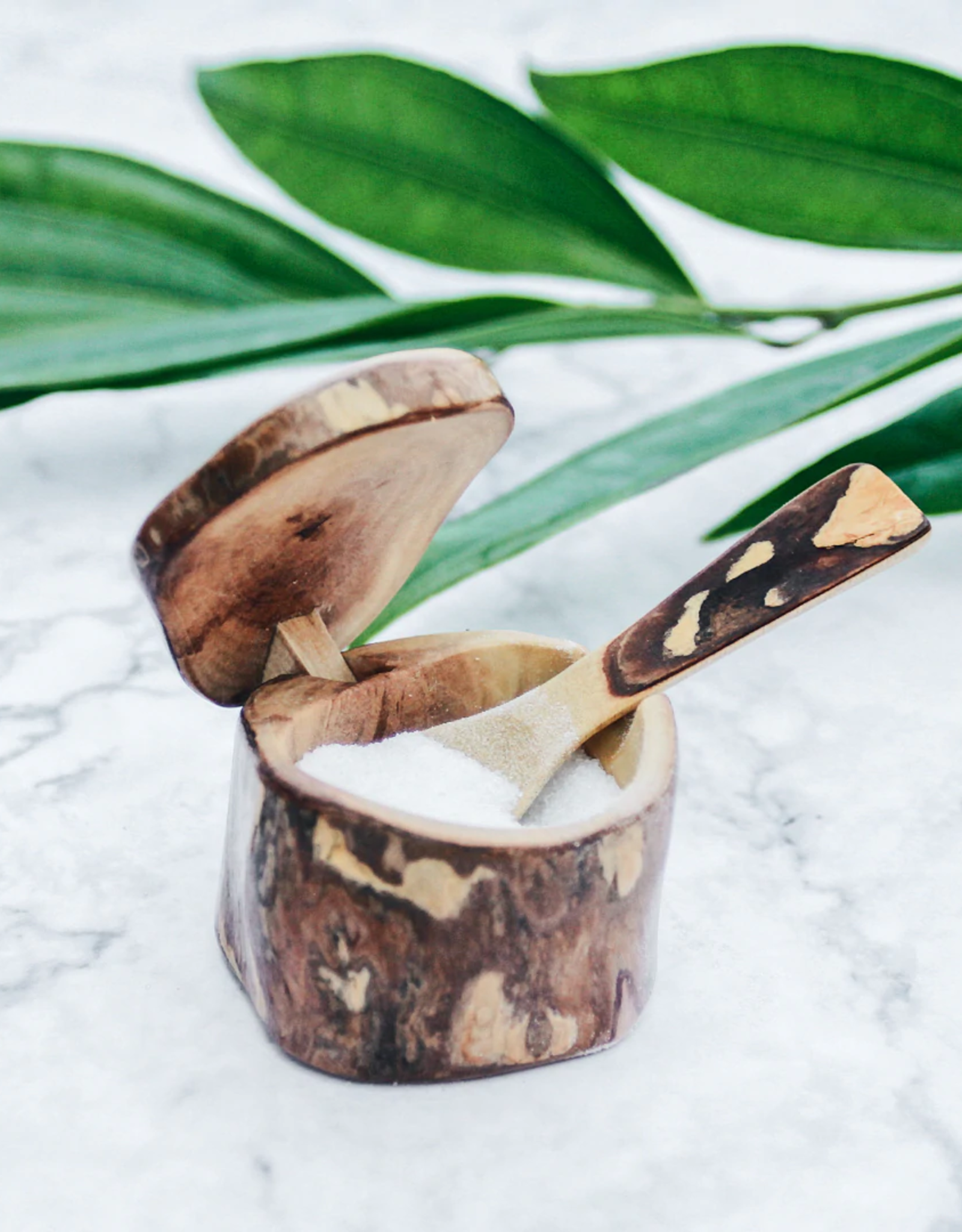 Upavim Crafts Repurposed Coffeewood Mini Salt Box and Spoon
